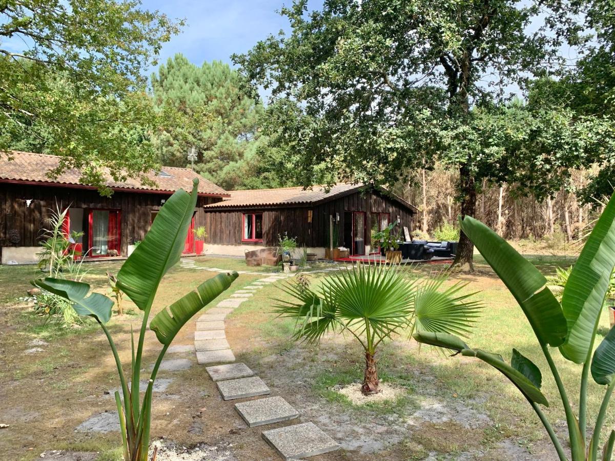House De La Canopee, Swimming Pool, Lake, Forest, Large Garden And Wifi 우르탱 외부 사진