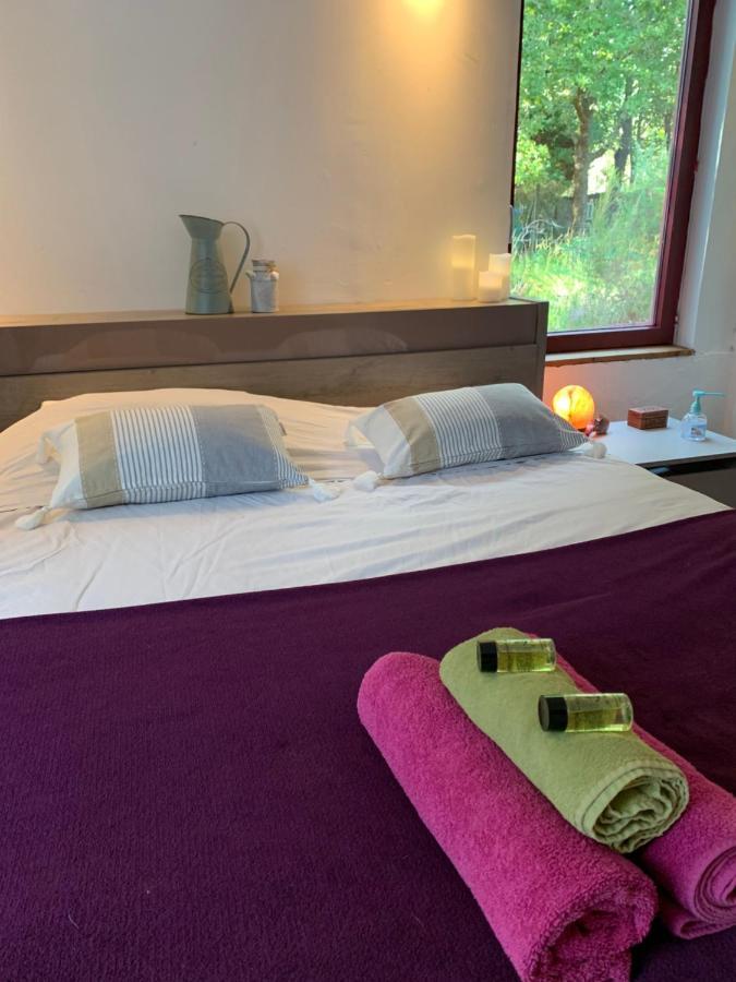 House De La Canopee, Swimming Pool, Lake, Forest, Large Garden And Wifi 우르탱 외부 사진