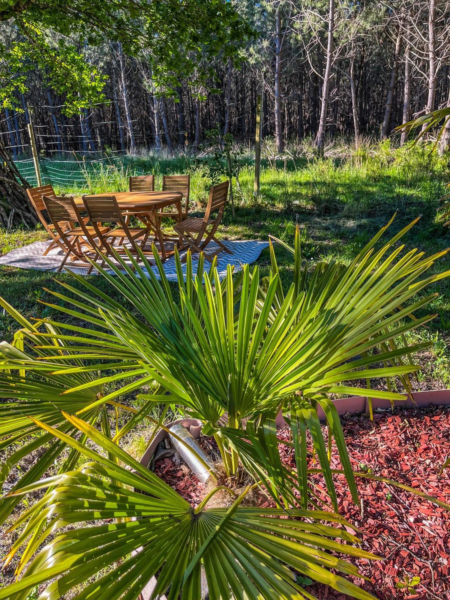 House De La Canopee, Swimming Pool, Lake, Forest, Large Garden And Wifi 우르탱 외부 사진
