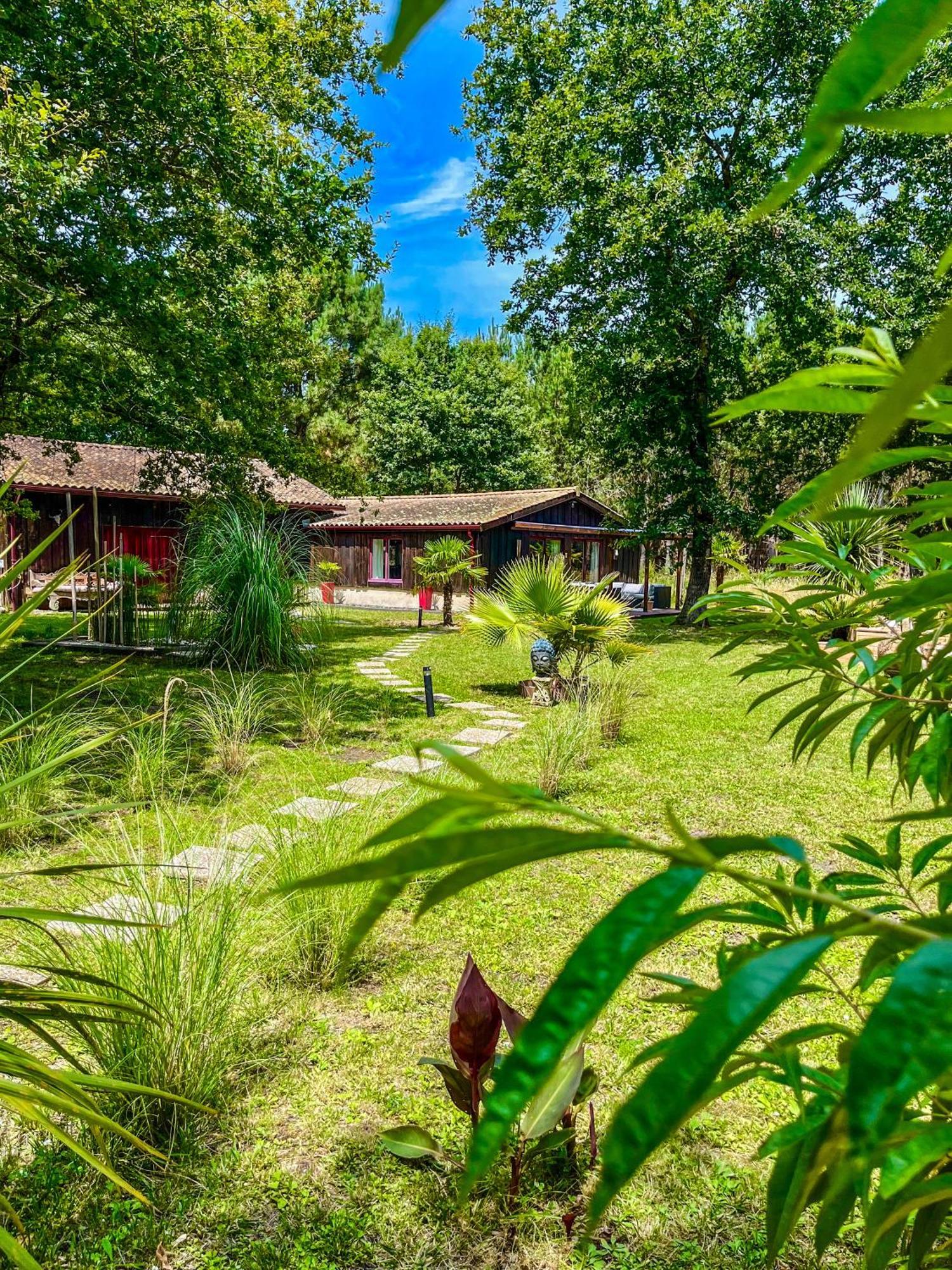 House De La Canopee, Swimming Pool, Lake, Forest, Large Garden And Wifi 우르탱 외부 사진